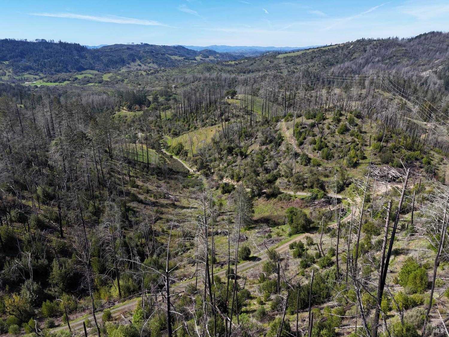 6505 Erland Road Santa Rosa, CA 95404 - Photo 22 of 41 an aerial view of residential house and green space