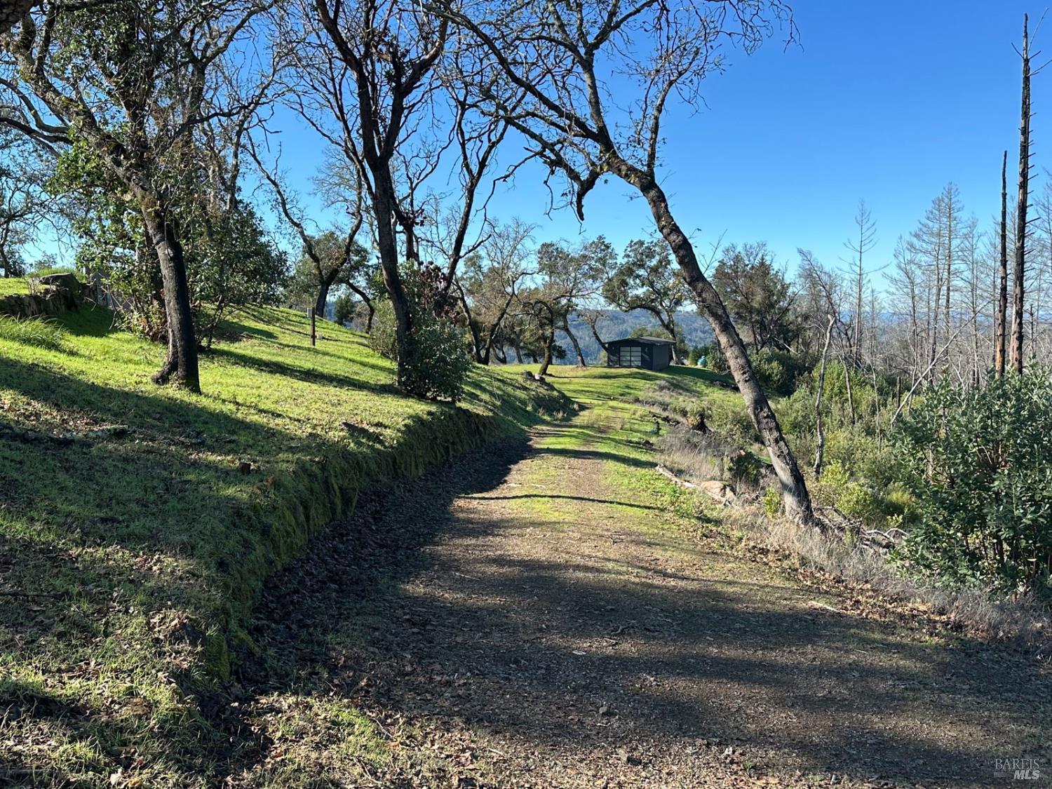 6505 Erland Road Santa Rosa, CA 95404 - Photo 27 of 41 a view of a park with large trees