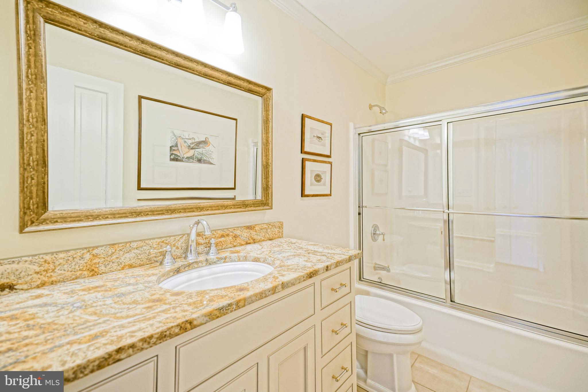 558 Pilottown Road Lewes, DE 19958 - Photo 80 of 142 a bathroom with a granite countertop sink toilet and shower