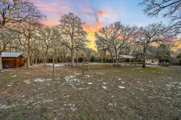 a backyard of a house with trees