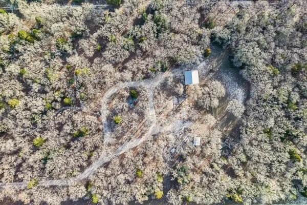 a view of a field with trees