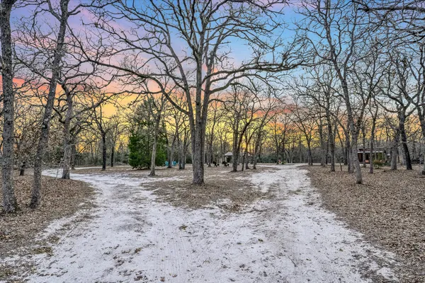 a view of a forest with trees
