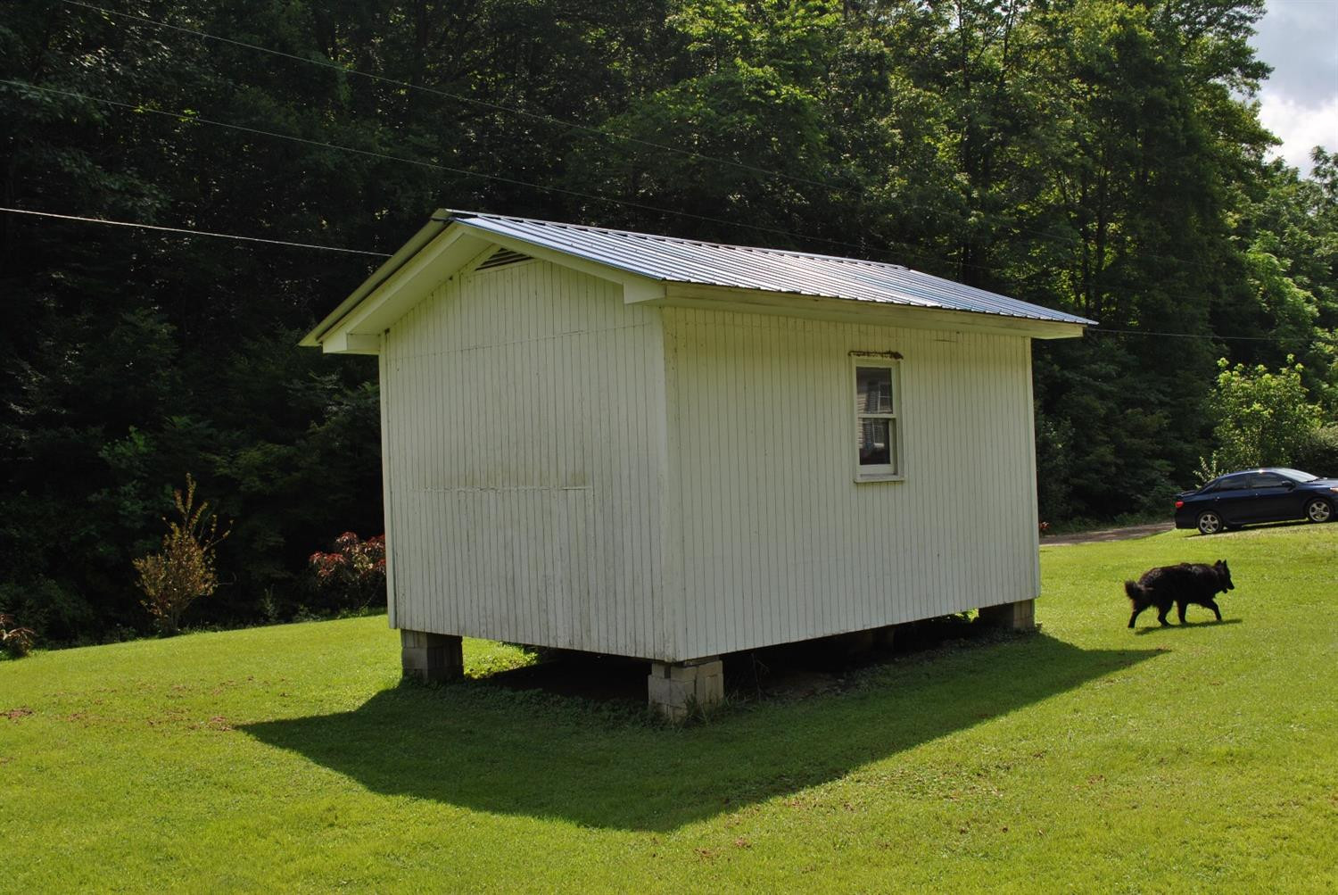 700 Upper Wolfe Creek Road Ricetown, KY 41364 - Photo 17 of 42 Photo 17