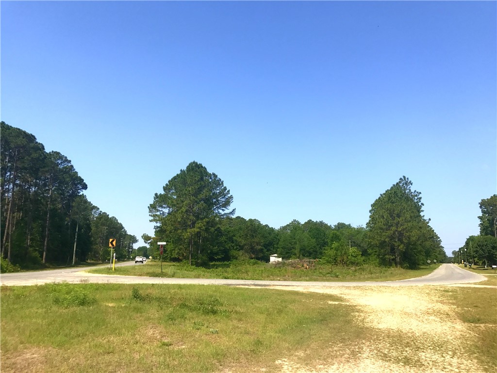 Lot 1-2 Rayonier Road Jesup, GA 31545 - Photo 2 of 4