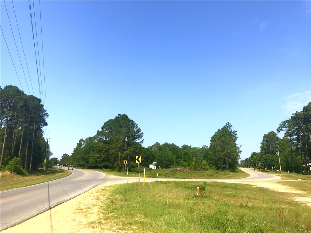 Lot 1-2 Rayonier Road Jesup, GA 31545 - Photo 3 of 4