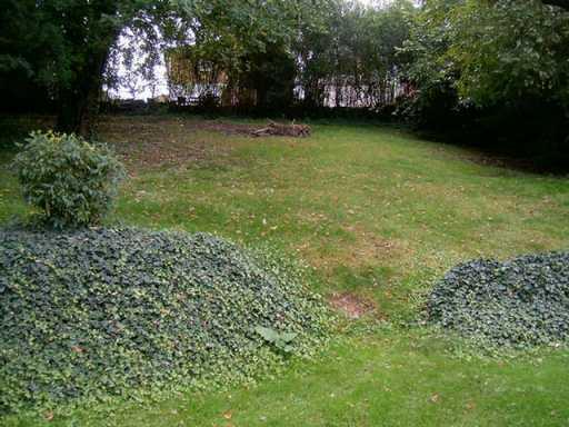 140 Donora Road Monongahela, PA 15063 - Photo 7 of 8 Yard/Garden.