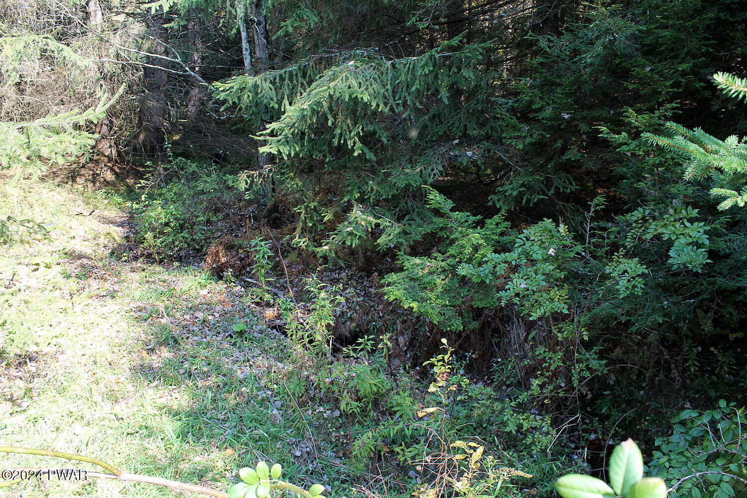 Baldwin Hill Road Damascus, PA 18415 - Photo 12 of 16 Evergreens