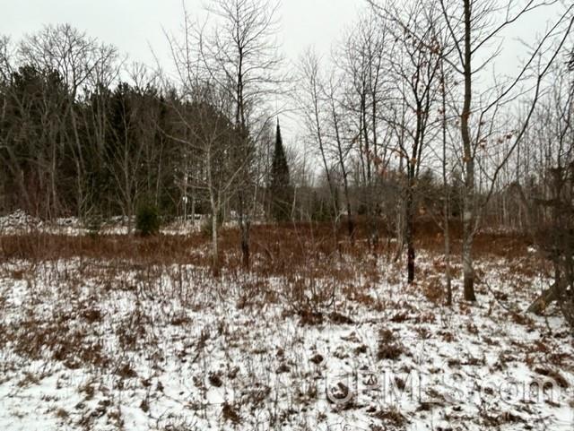 Tbd5 Larson Road Atlantic Mine, MI 49905 - Photo 38 of 56 Gallery Image 38