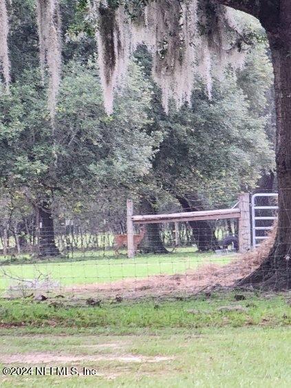 633 Cousintown Road Interlachen, FL 32148 - Photo 38 of 48 image000001