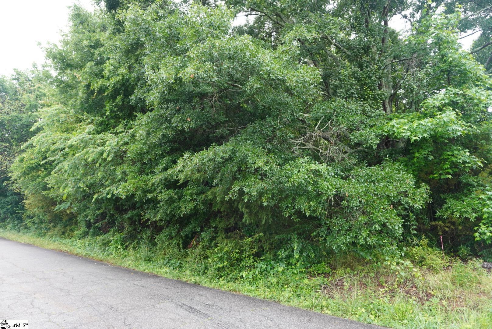 175 Stewart Lake Road Pelzer, SC 29669 - Photo 7 of 18