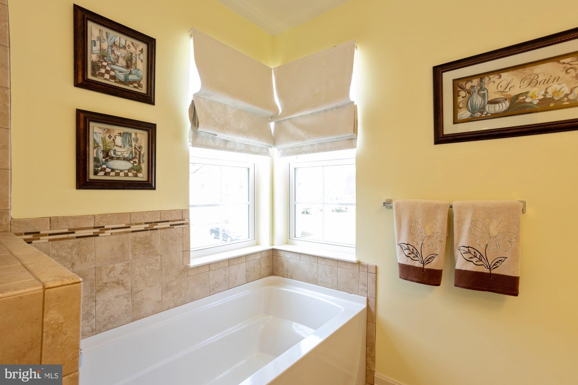 1712 Renaissance Drive Baltimore, MD 21221 - Photo 37 of 73 Primary Soaking Tub