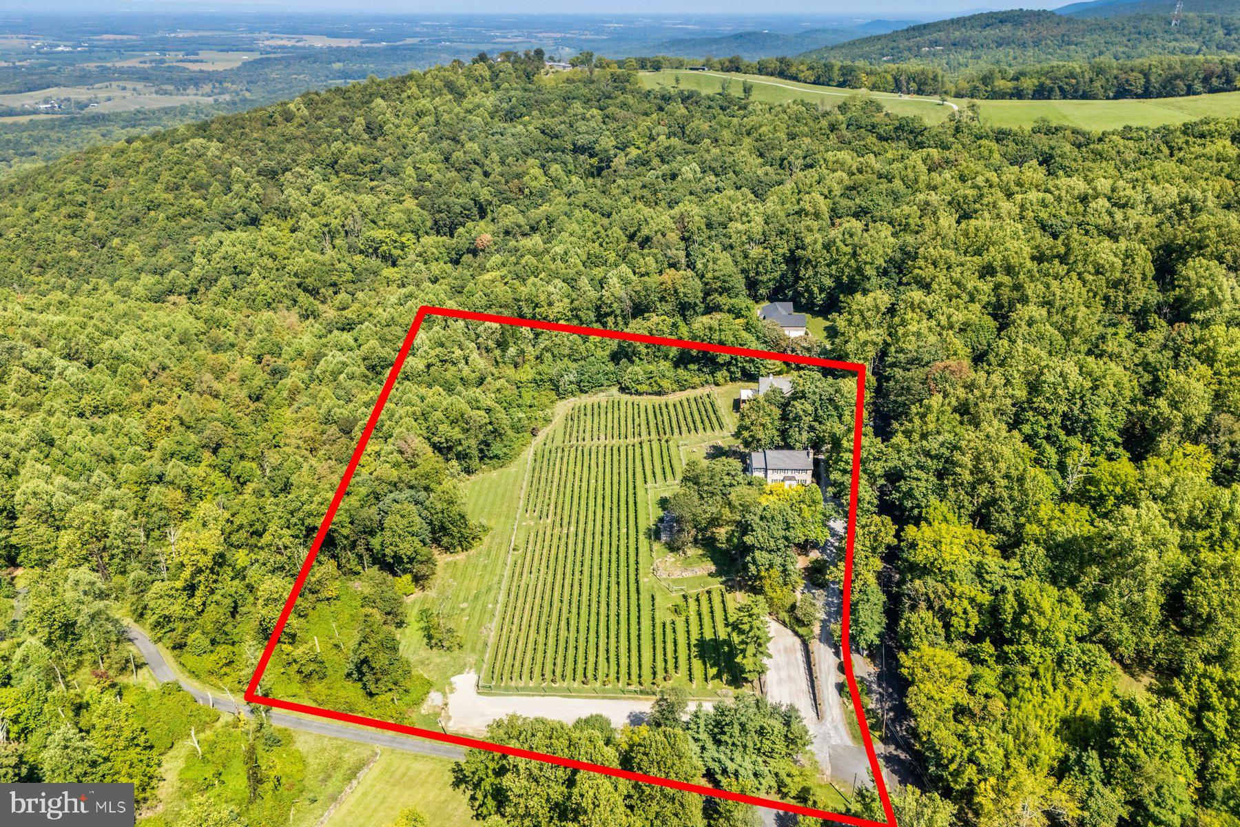 18035 Raven Rocks Road Bluemont, VA 20135 - Photo 42 of 68 Gorgeous views of the Shenandoah Valley