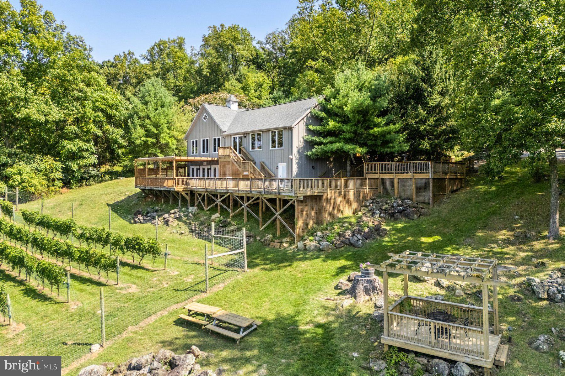 18035 Raven Rocks Road Bluemont, VA 20135 - Photo 44 of 68 Tasting room deck