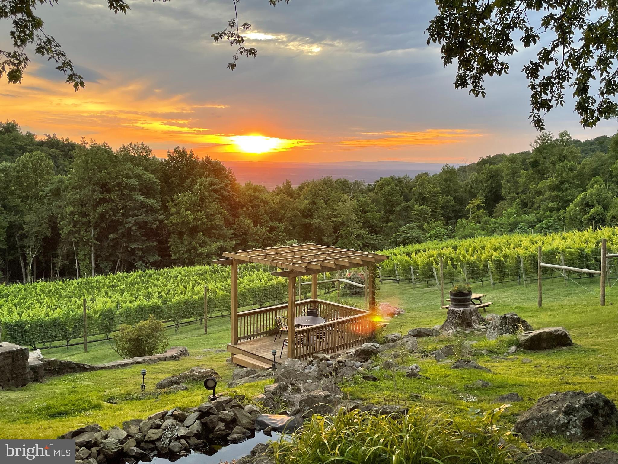 18035 Raven Rocks Road Bluemont, VA 20135 - Photo 68 of 68 Stunning sunsets await!
