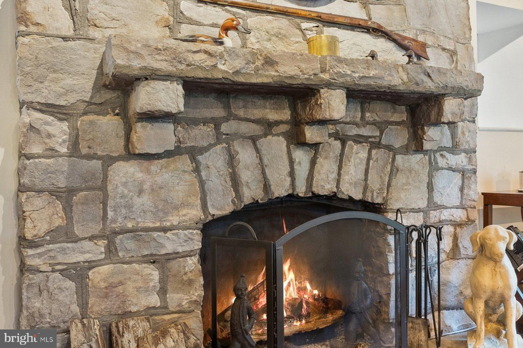 18035 Raven Rocks Road Bluemont, VA 20135 - Photo 10 of 68 Wood burning fireplace