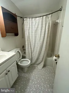 a bathroom with a sink a toilet a mirror and shower curtain