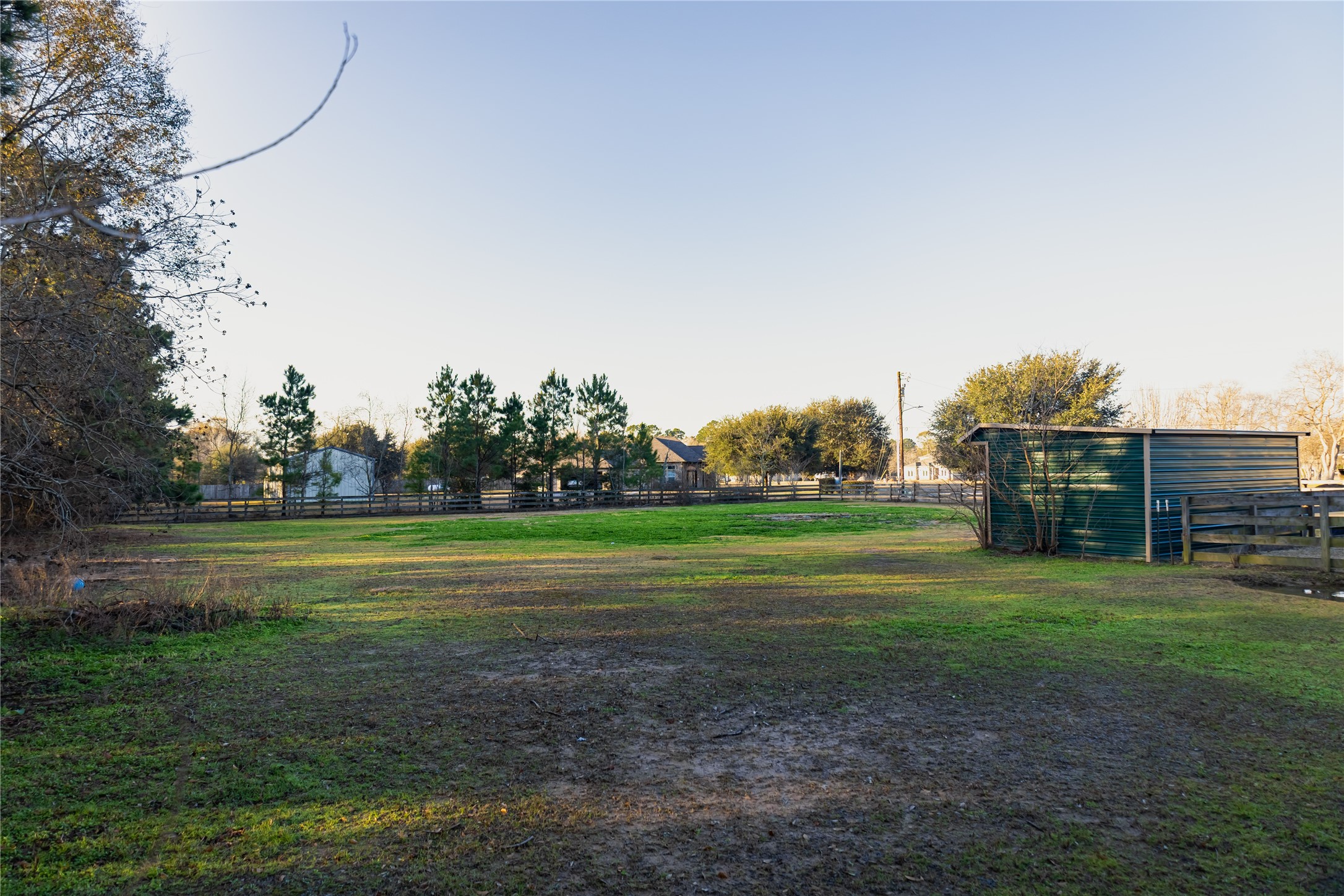 15913 Enloe Street Splendora, TX 77372 - Photo 30 of 36 Right Side Back Yard