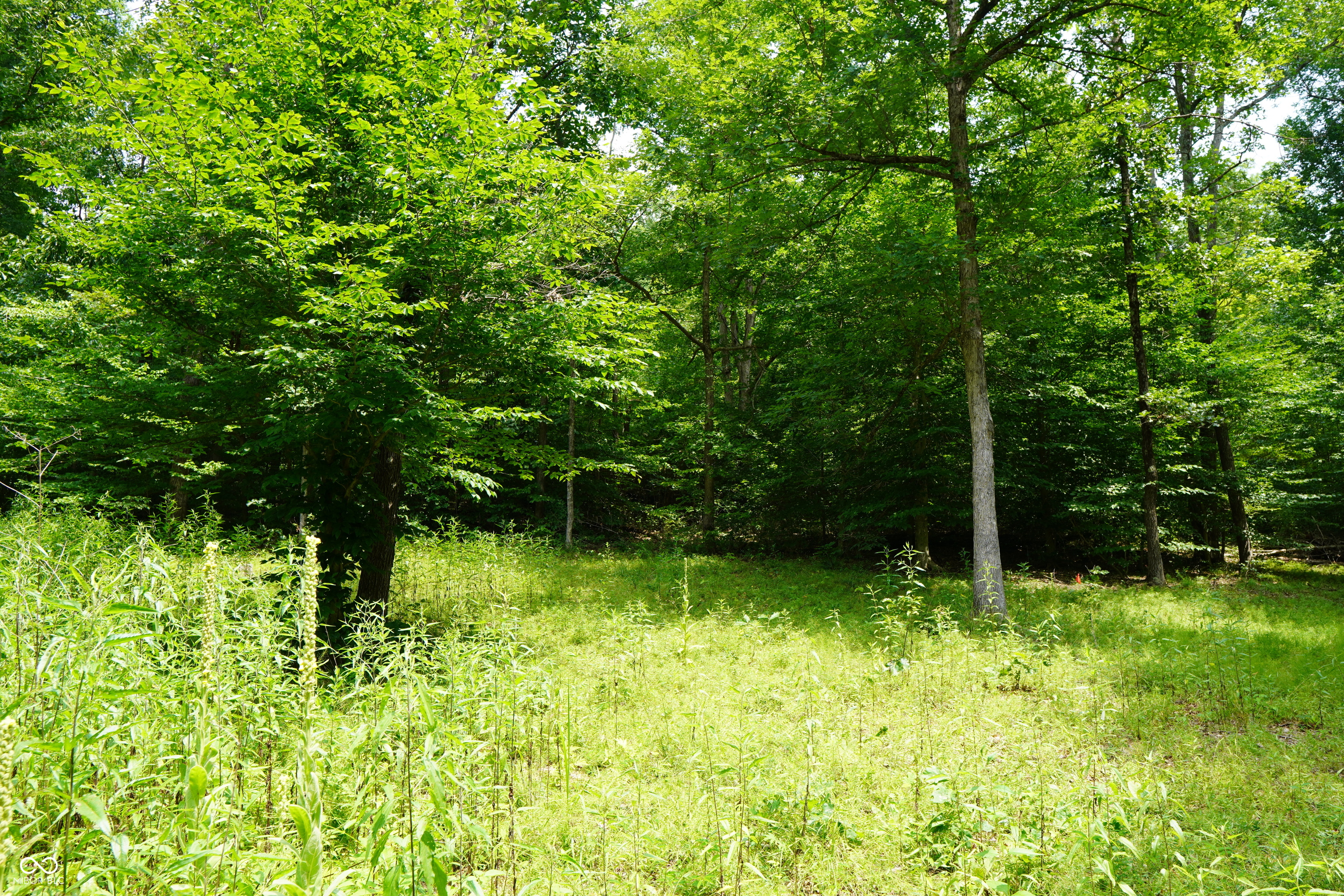 X Brown Hill Road Nashville, IN 47448 - Photo 5 of 12