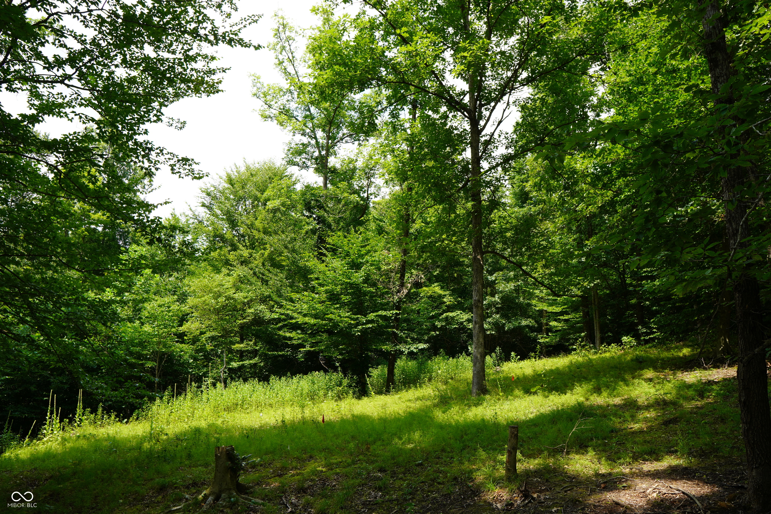 X Brown Hill Road Nashville, IN 47448 - Photo 6 of 12