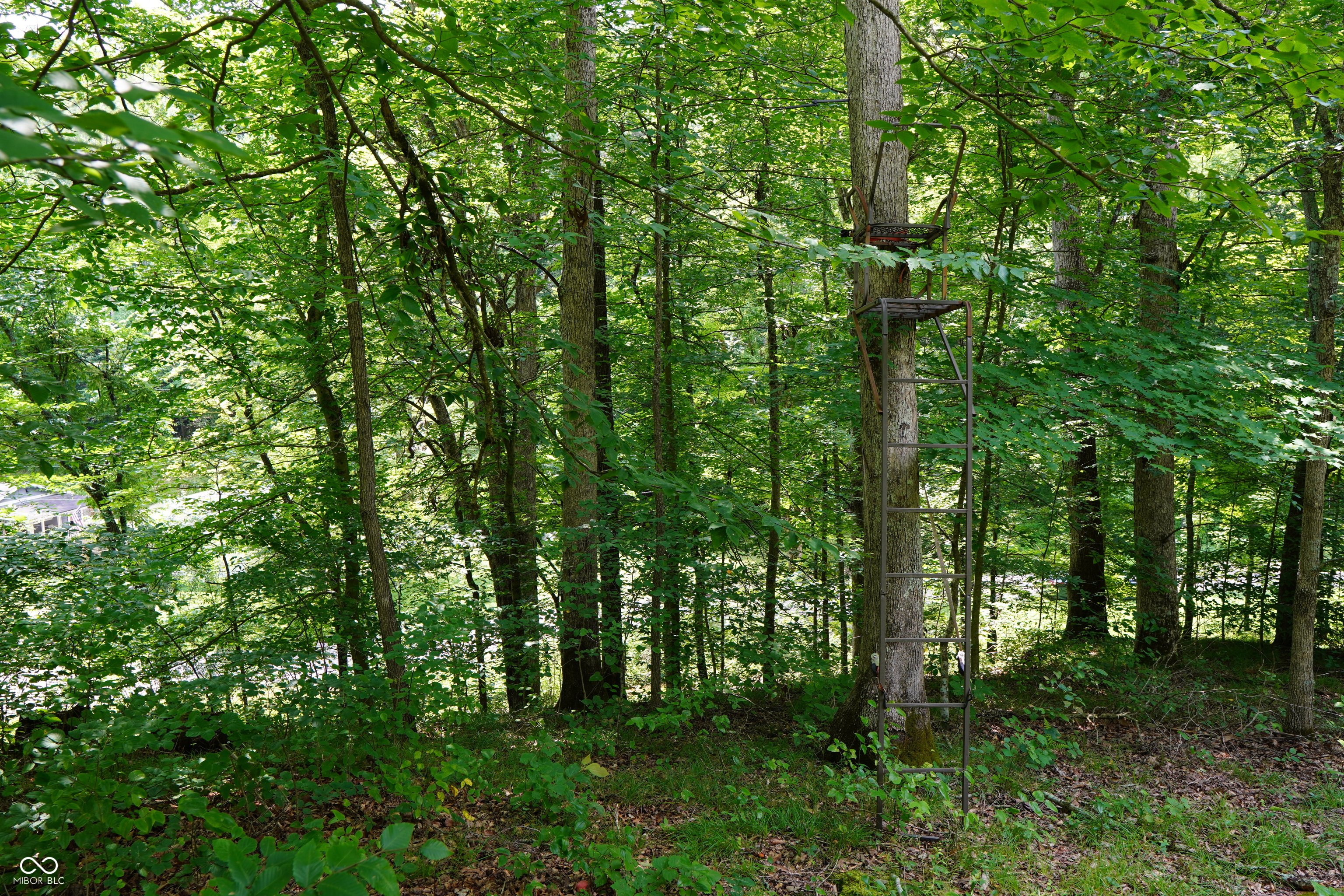 X Brown Hill Road Nashville, IN 47448 - Photo 7 of 12