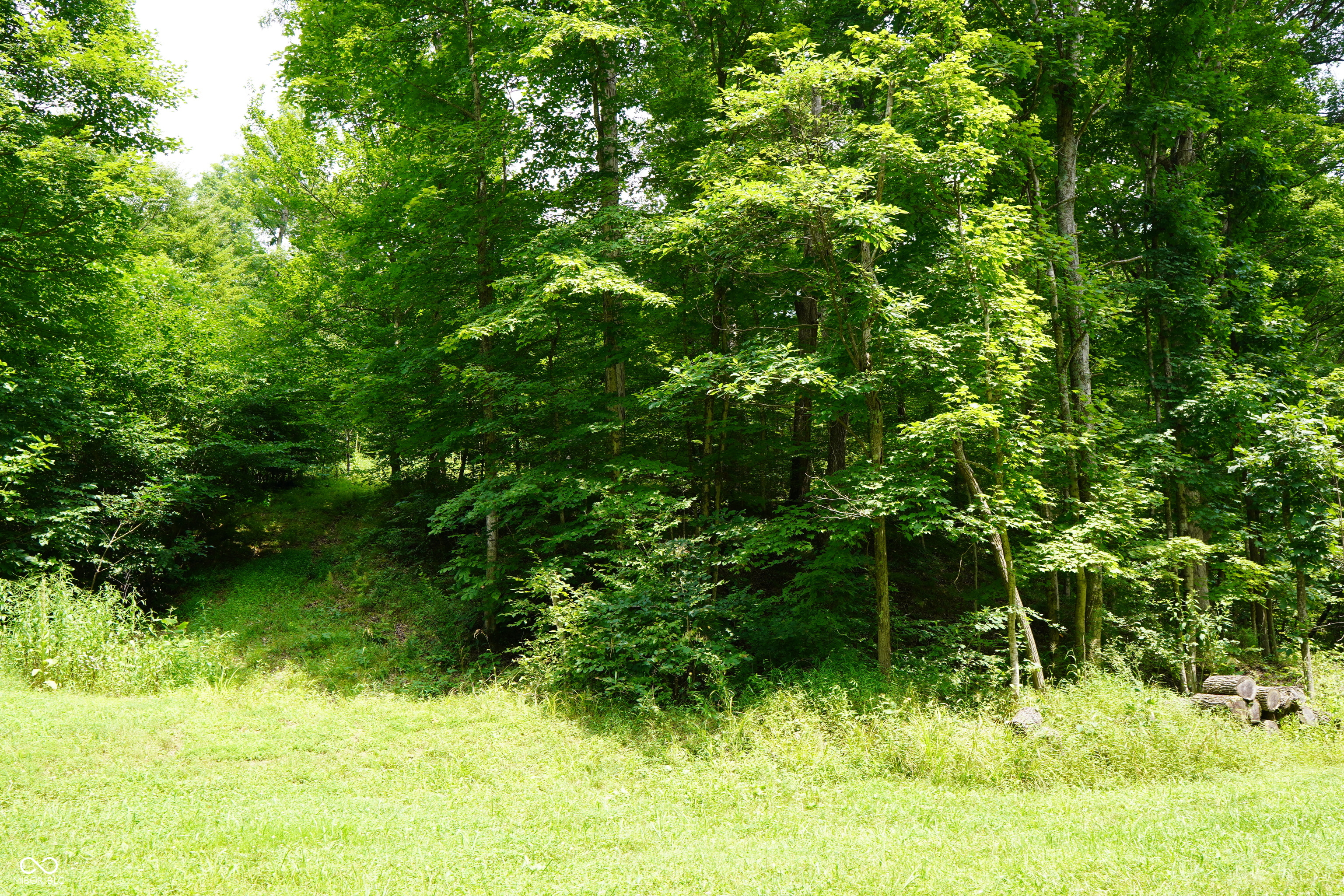 X Brown Hill Road Nashville, IN 47448 - Photo 8 of 12