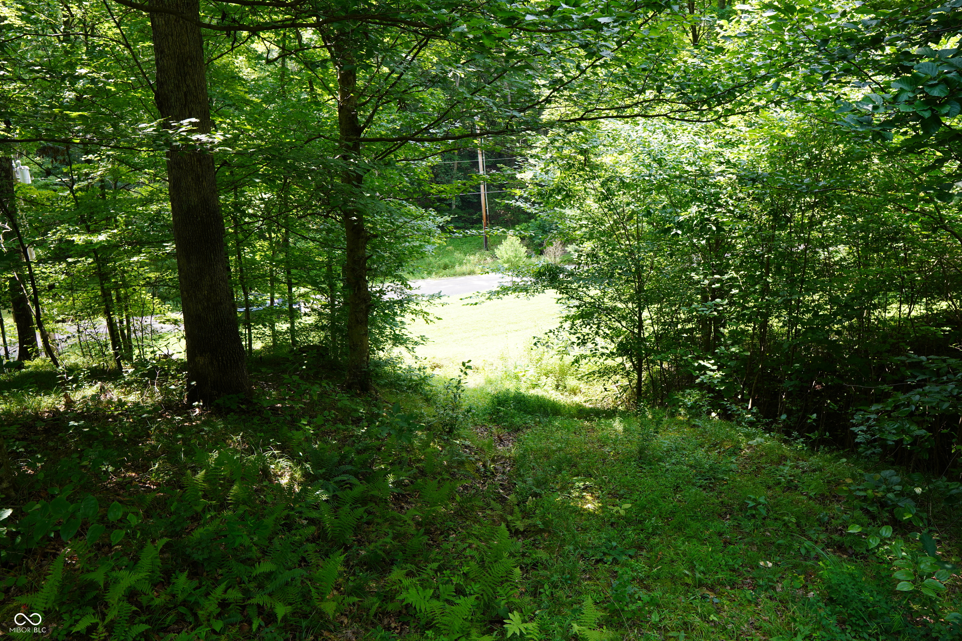 X Brown Hill Road Nashville, IN 47448 - Photo 9 of 12