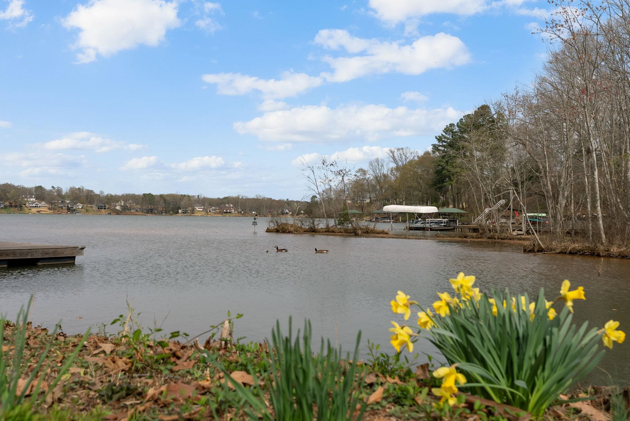 144 Amber Drive Inman, SC 29349 - Photo 38 of 38