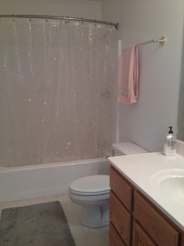 10828 Beaver Road Oak Run, CA 96069 - Photo 30 of 39 secondary bath