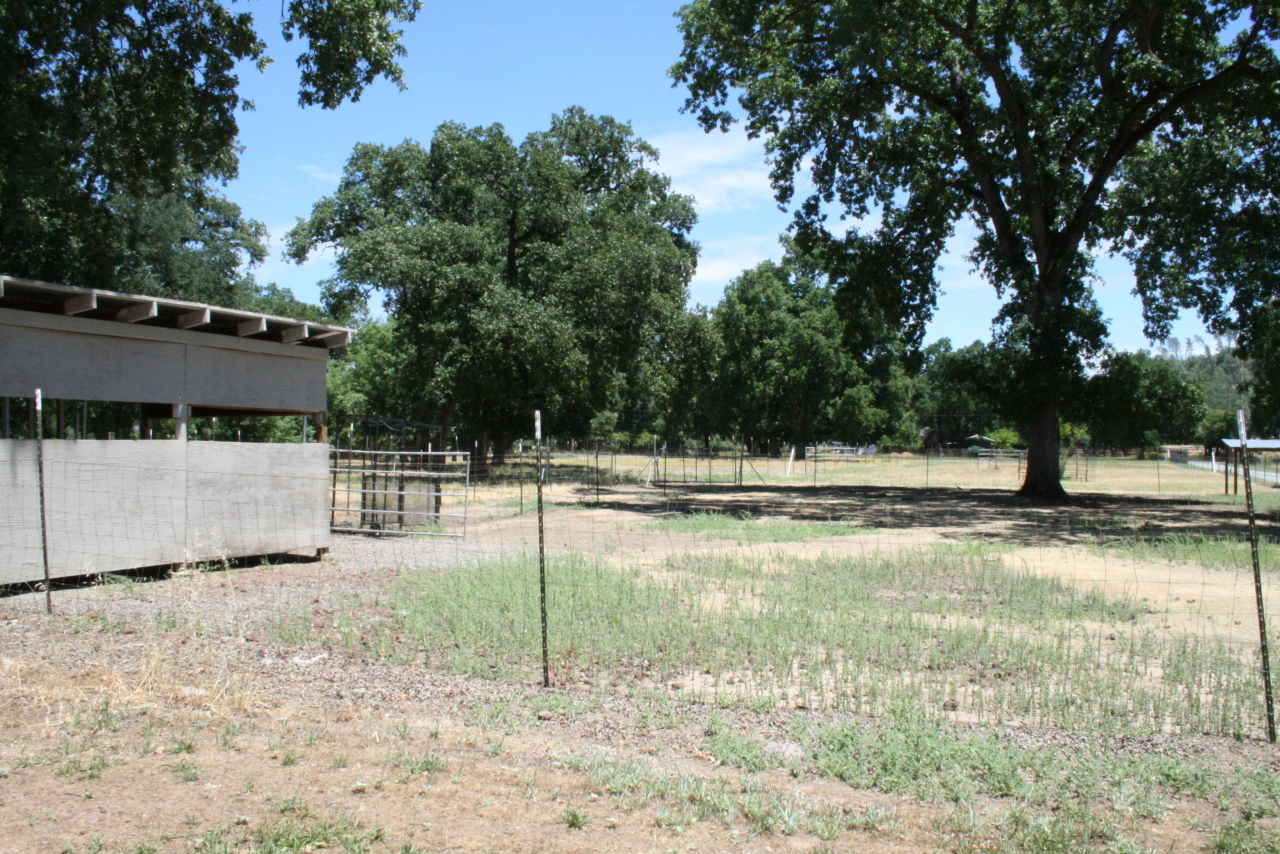 10828 Beaver Road Oak Run, CA 96069 - Photo 34 of 39 grounds
