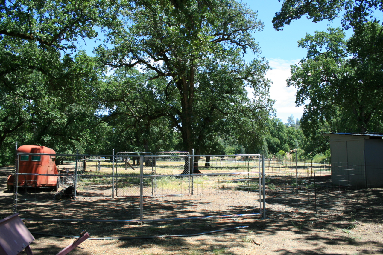 10828 Beaver Road Oak Run, CA 96069 - Photo 37 of 39 grounds