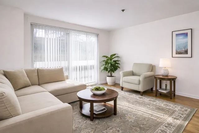 a living room with furniture and a rug