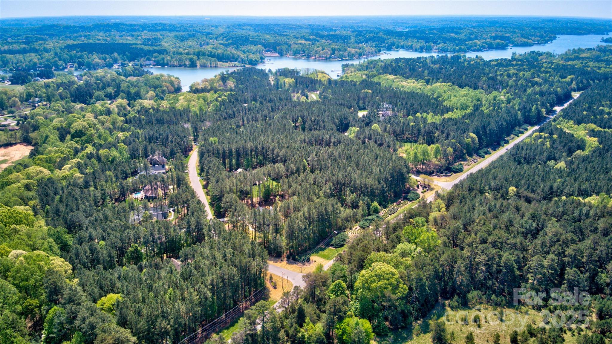 111 Cinder Ridge Court Troutman, NC 28166 - Photo 15 of 23 an aerial view of green landscape with trees houses and mountain view