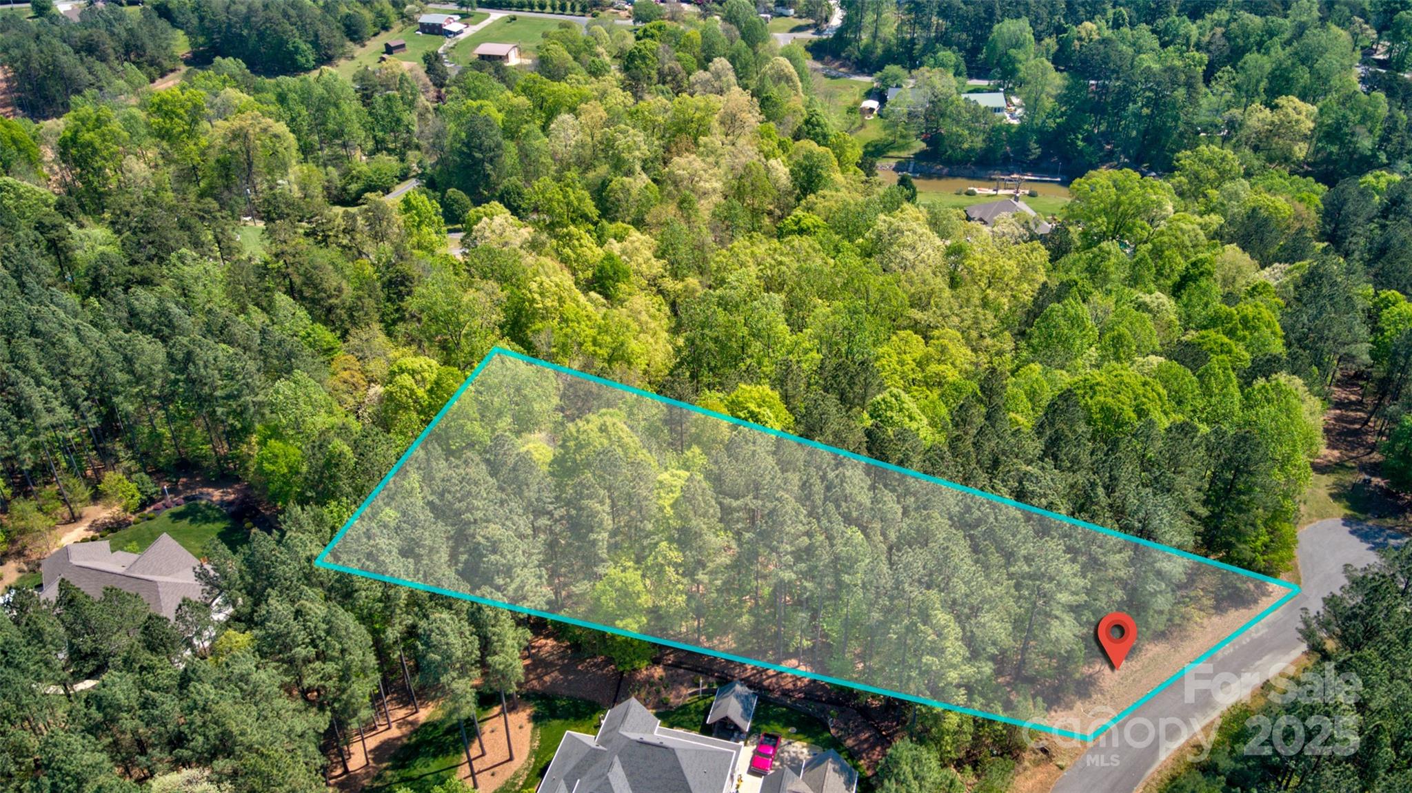 111 Cinder Ridge Court Troutman, NC 28166 - Photo 6 of 23 a view of a lush green forest with lots of trees