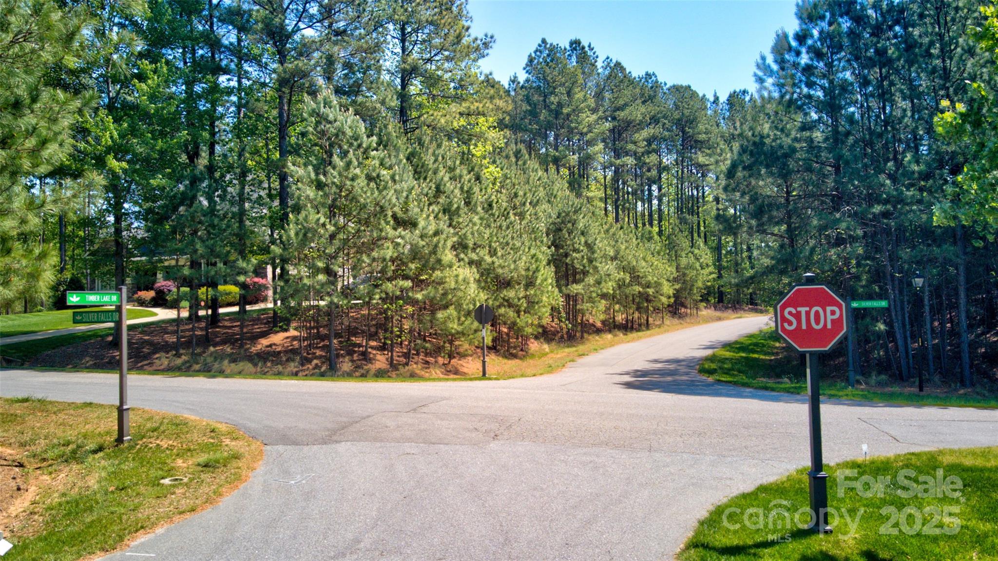 111 Cinder Ridge Court Troutman, NC 28166 - Photo 8 of 23 a view of a park