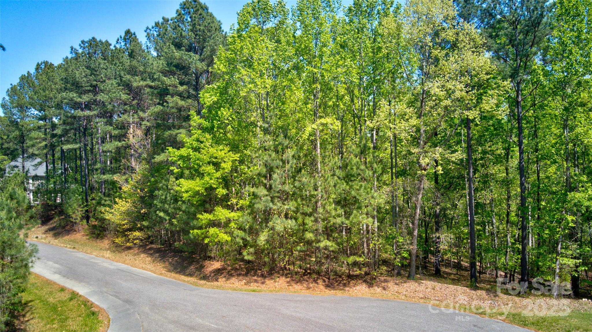 111 Cinder Ridge Court Troutman, NC 28166 - Photo 9 of 23 a view of a garden with plants