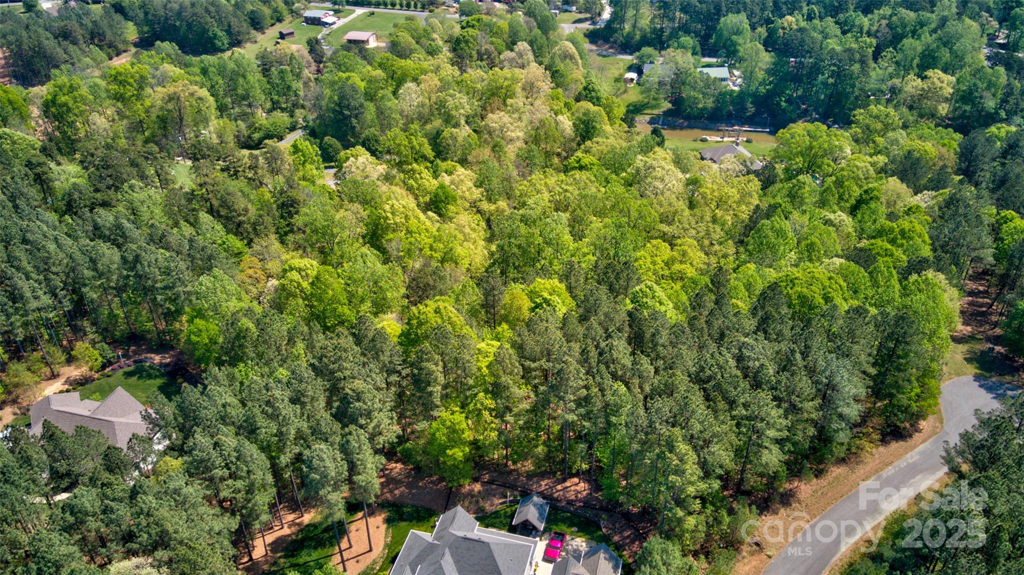 111 Cinder Ridge Court Troutman, NC 28166 - Photo 10 of 23 a view of a house with a tree