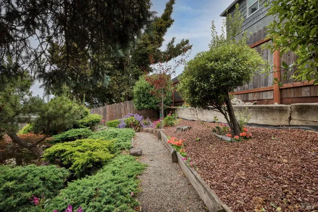 a view of a house with a yard and plants