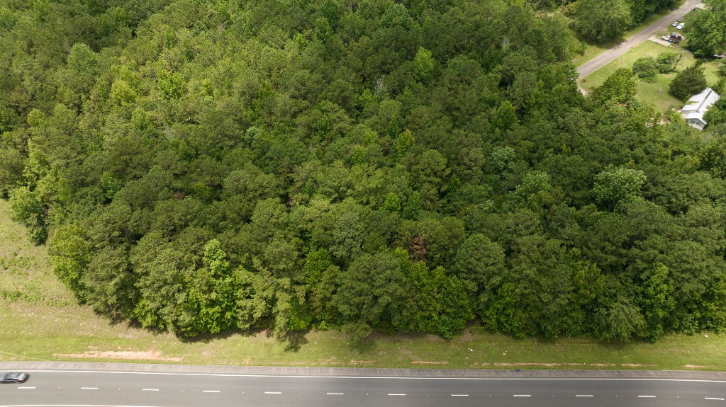 Undefined Scott Road Ellerslie, GA 31807 - Photo 2 of 10 a view of a yard with a sink