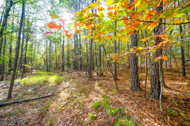 a backyard of a house with lots of green space and chair
