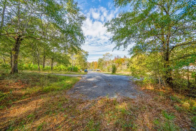 a view of dirt field with trees