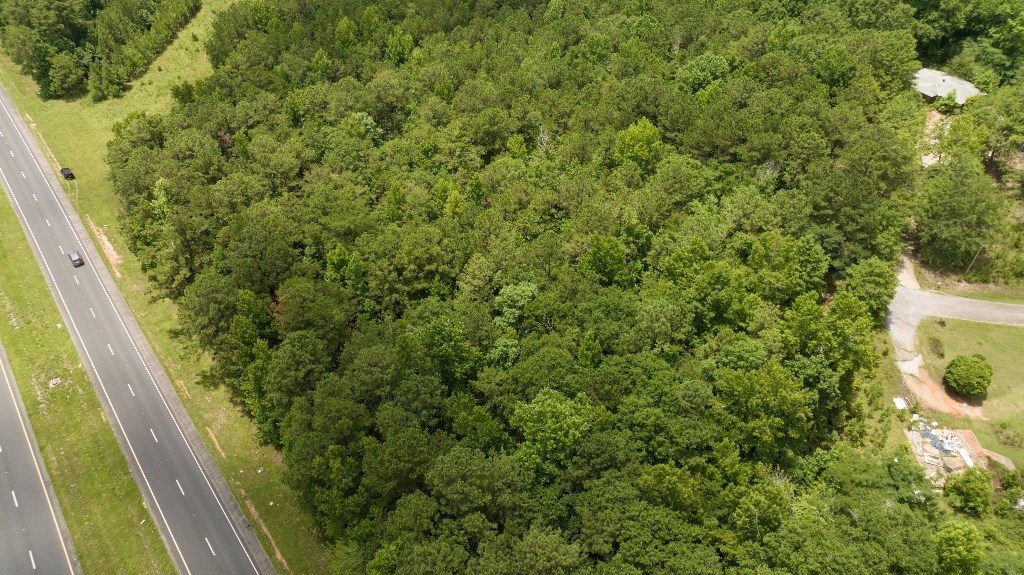 Undefined Scott Road Ellerslie, GA 31807 - Photo 6 of 10 a view of a small yard