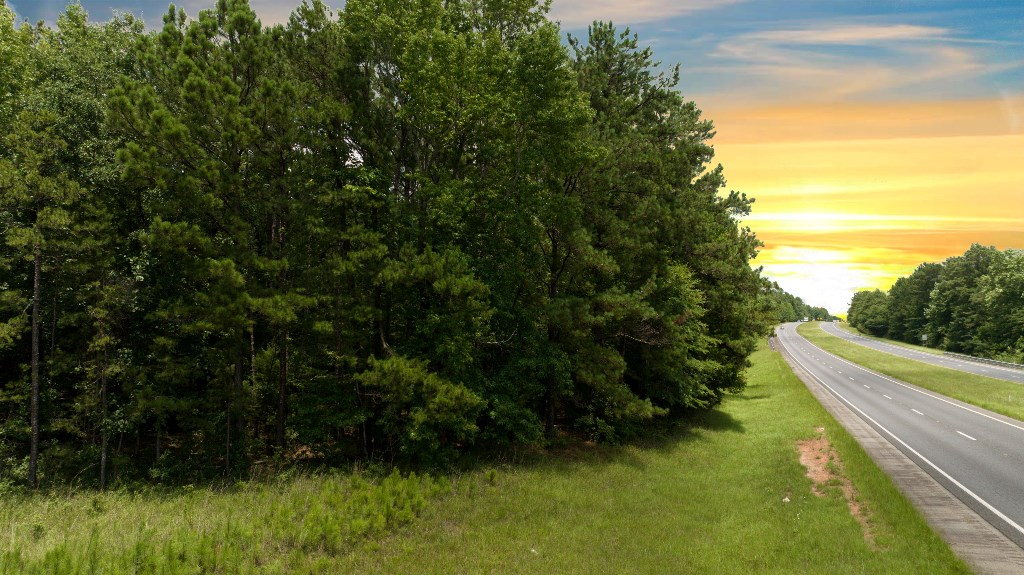 Undefined Scott Road Ellerslie, GA 31807 - Photo 10 of 10 a view of outdoor space and yard