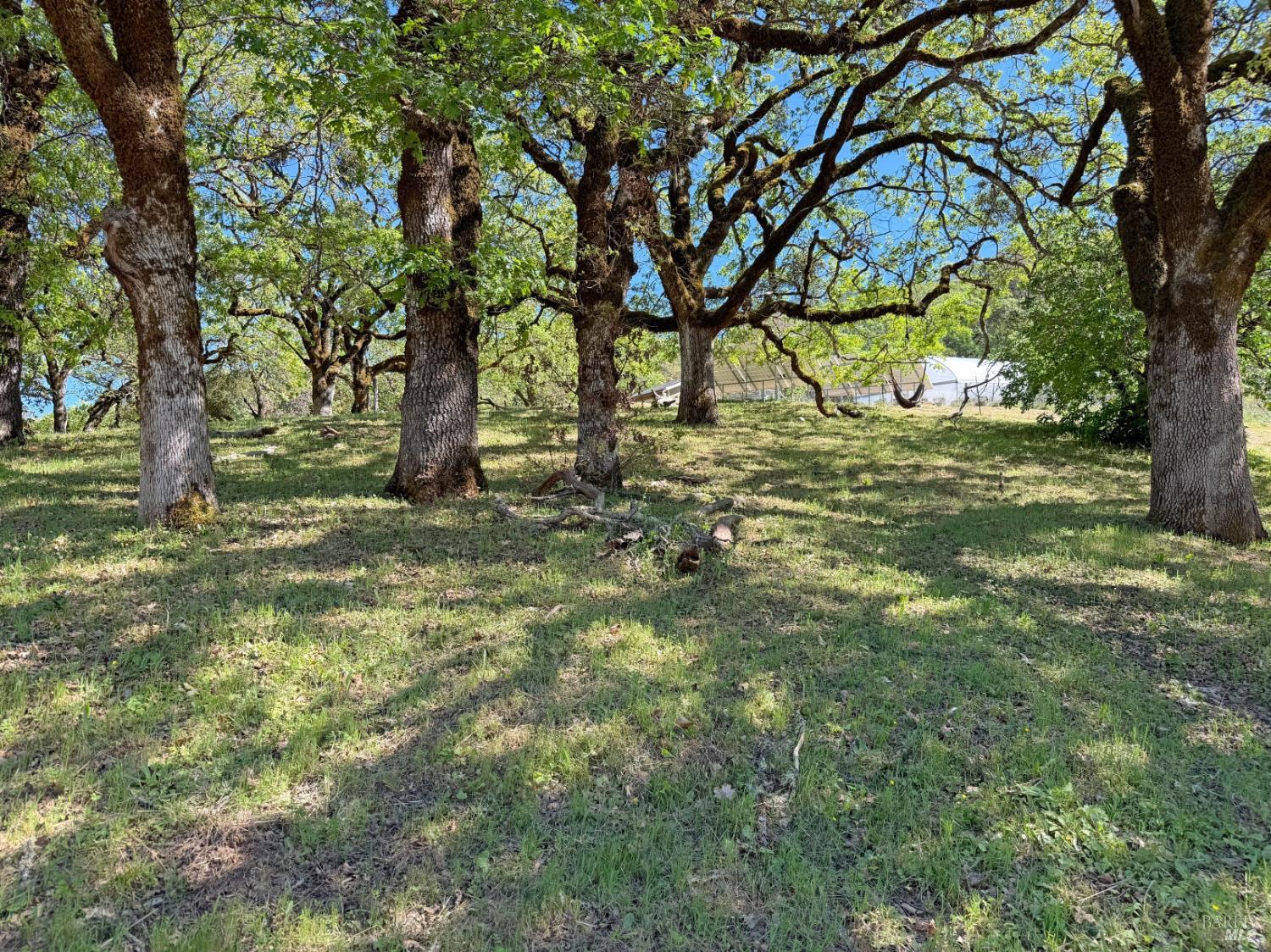 2501 Main Ranch Road Redwood Valley, CA 95470 - Photo 24 of 57 a view of backyard with green space