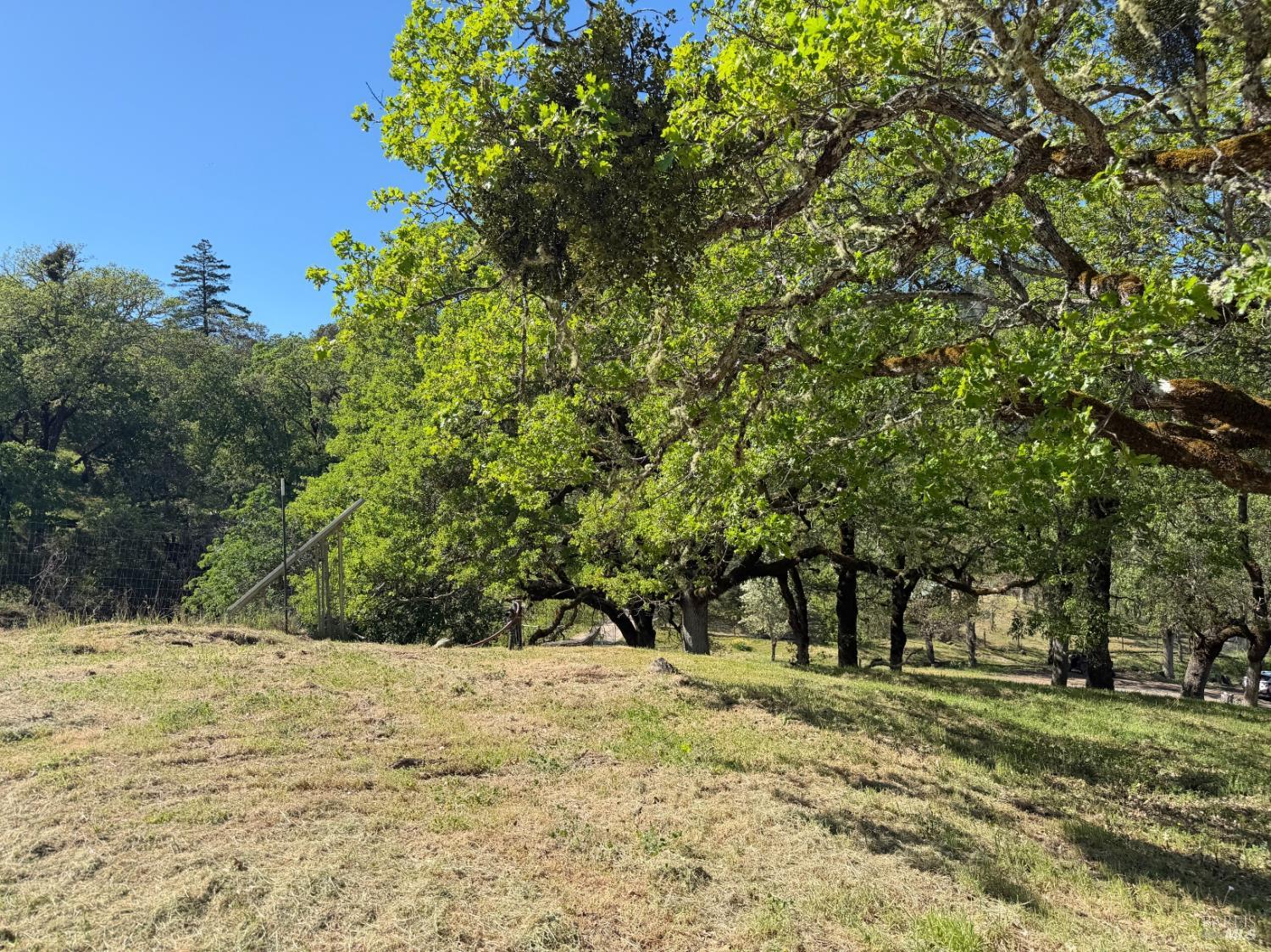 2501 Main Ranch Road Redwood Valley, CA 95470 - Photo 25 of 57 a view of a yard with a tree