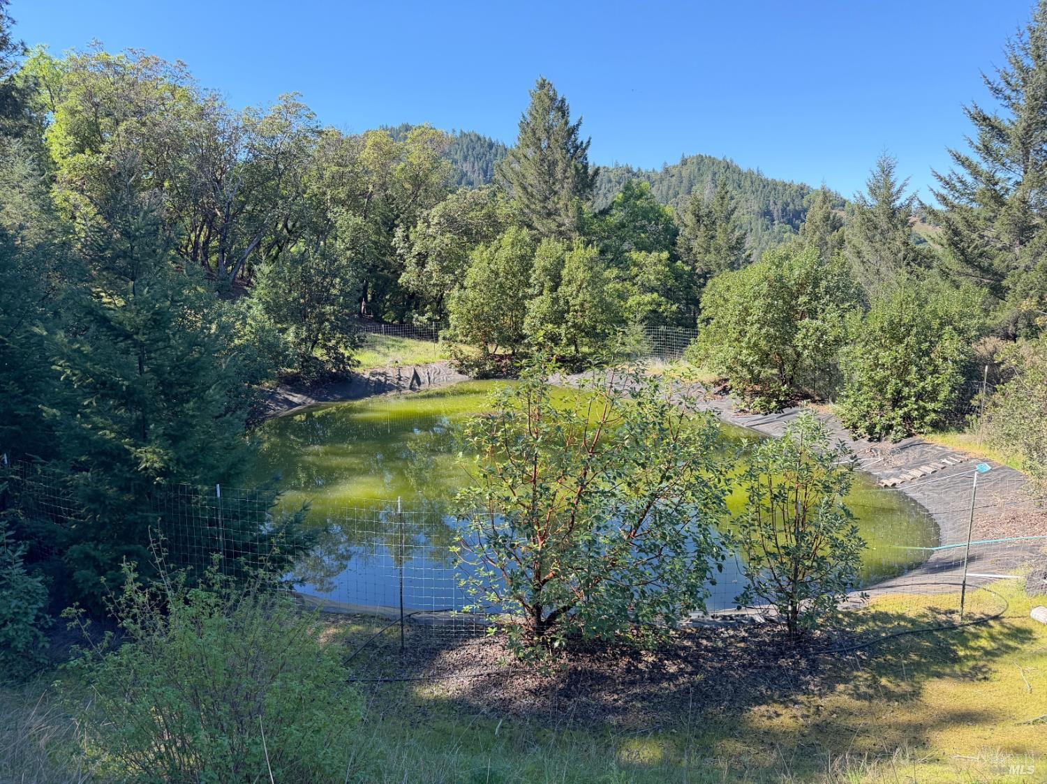2501 Main Ranch Road Redwood Valley, CA 95470 - Photo 29 of 57 a view of a garden with a building in the background