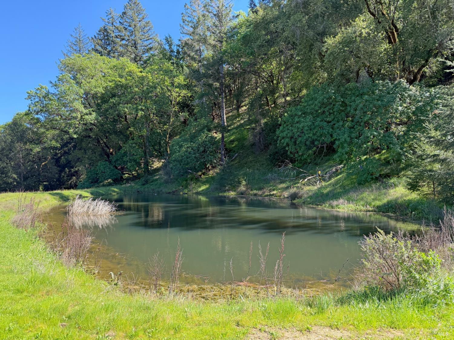 2501 Main Ranch Road Redwood Valley, CA 95470 - Photo 31 of 57