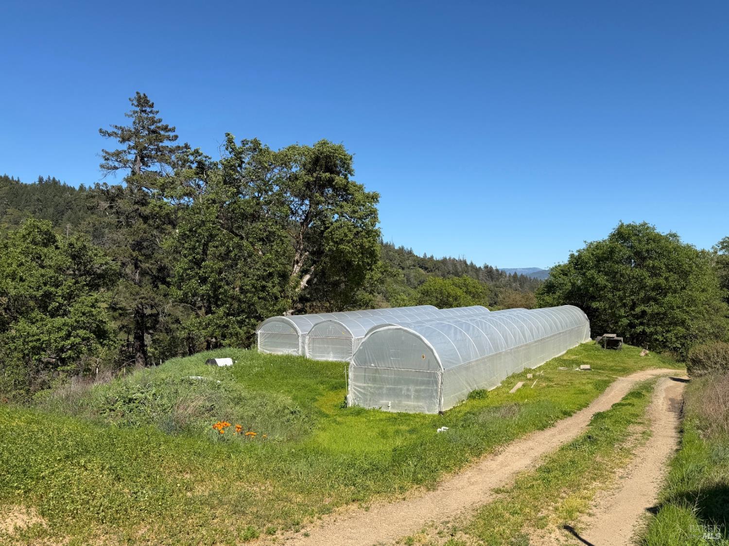 2501 Main Ranch Road Redwood Valley, CA 95470 - Photo 33 of 57 a view of a garden with a house in the background