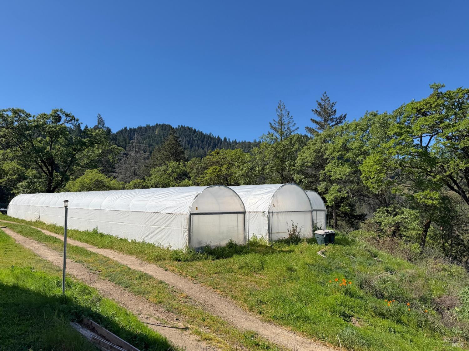 2501 Main Ranch Road Redwood Valley, CA 95470 - Photo 34 of 57 a view of a backyard