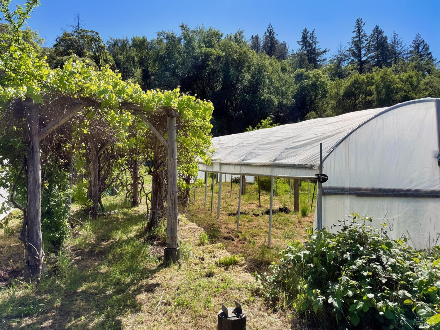 2501 Main Ranch Road Redwood Valley, CA 95470 - Photo 36 of 57 a backyard of a house with lots of green space