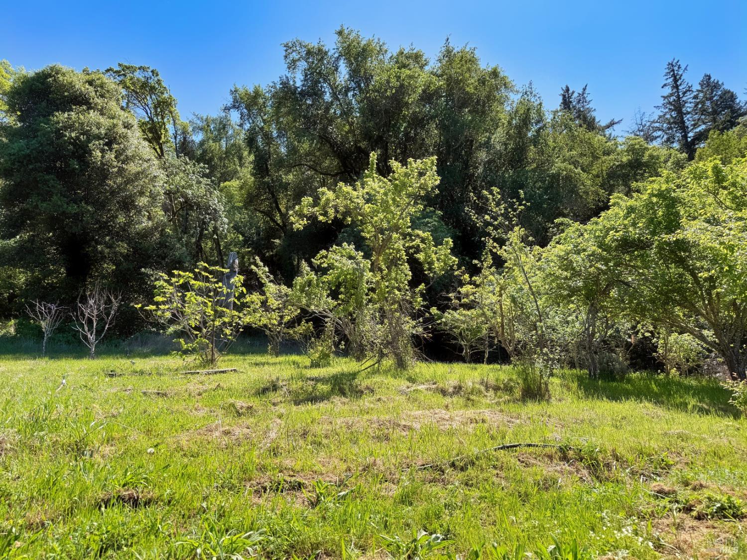 2501 Main Ranch Road Redwood Valley, CA 95470 - Photo 38 of 57
